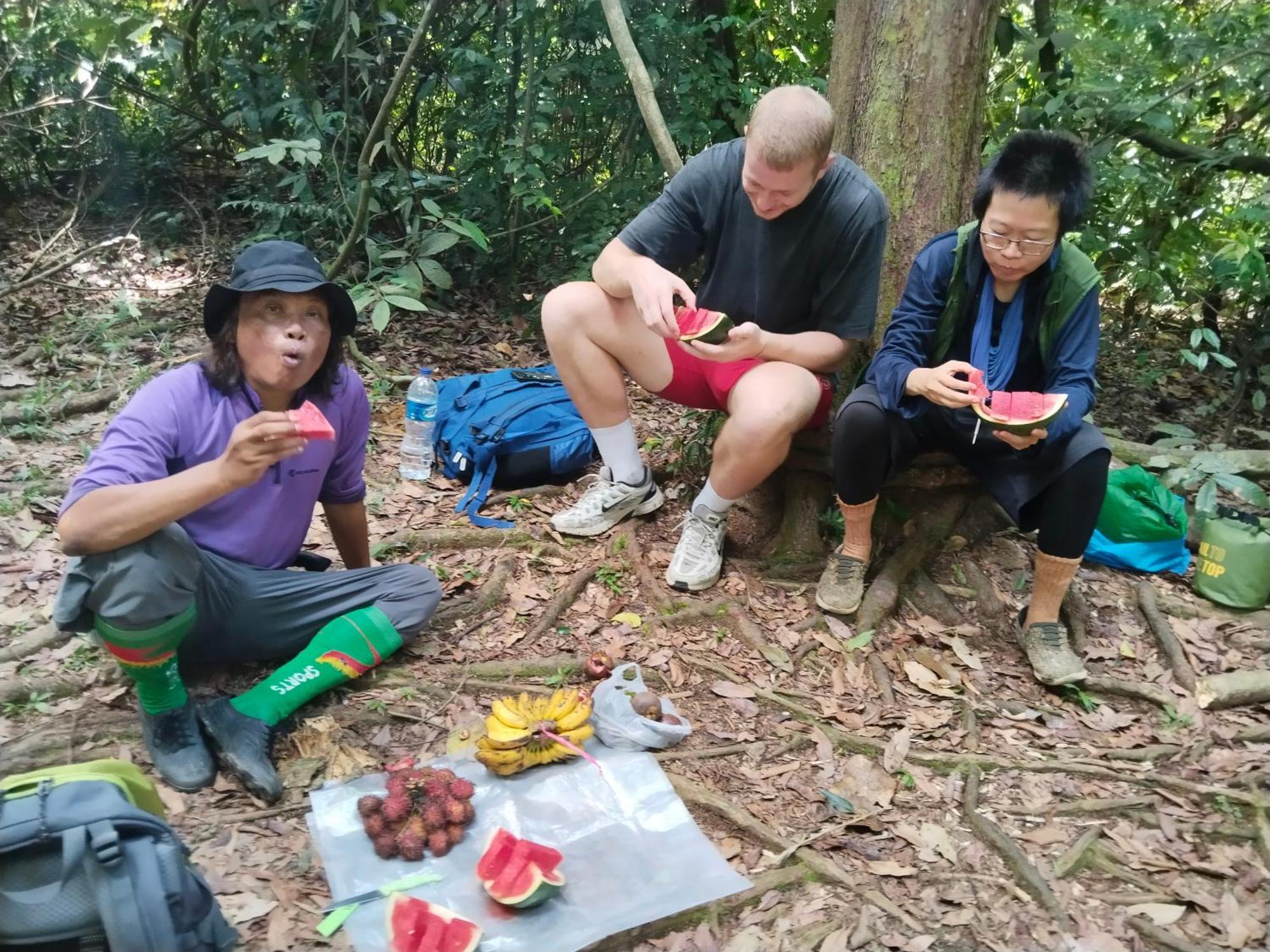 Jhony'S Backpacker-Guest House Only Stay Here Book Treking With Us Bukit Lawang Eksteriør bilde