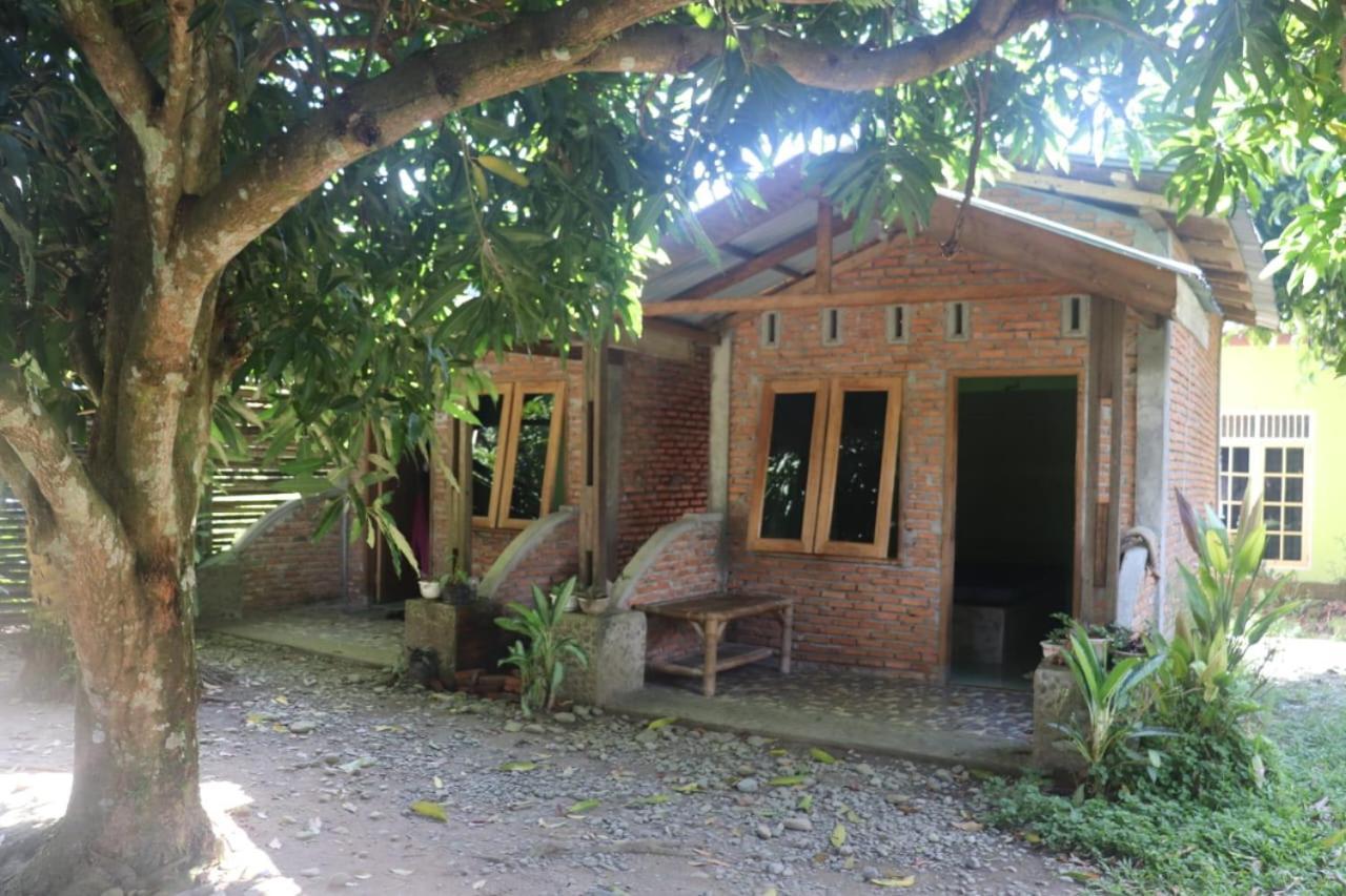 Jhony'S Backpacker-Guest House Only Stay Here Book Treking With Us Bukit Lawang Eksteriør bilde